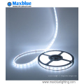 DC24V 60/72/84 / 96LEDs par mètre 4-en-1 5050SMD RGBW LED Strip